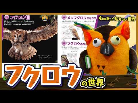 学研の図鑑LIVE 鳥 新版 – 有隣堂オンラインストア